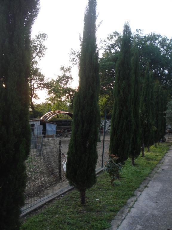 Agriturismo La Fattoria San Donato Val di Comino Exteriér fotografie