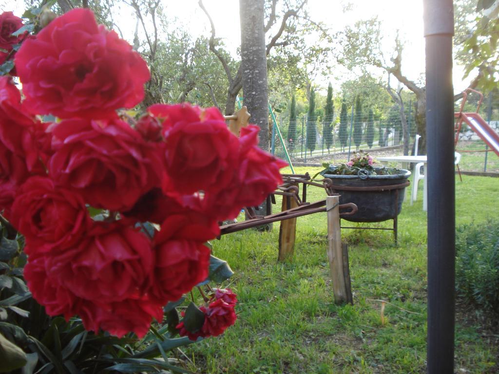 Agriturismo La Fattoria San Donato Val di Comino Exteriér fotografie